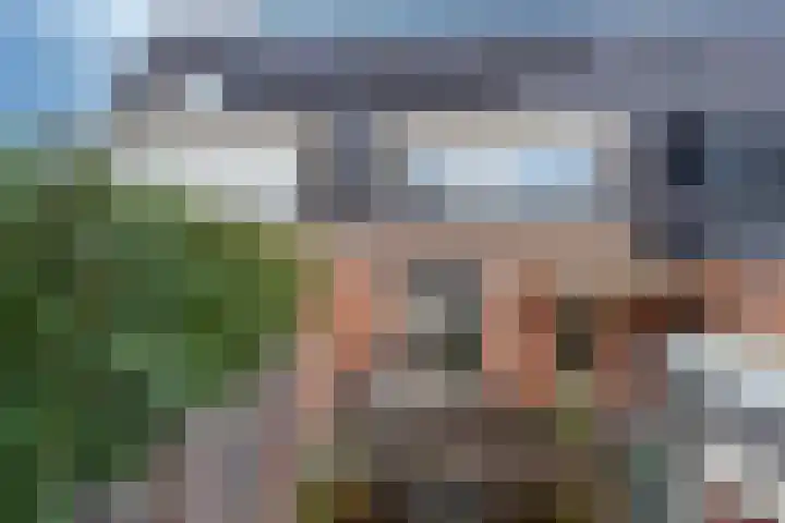 De Zoom 10 't Harde thumbnail 29