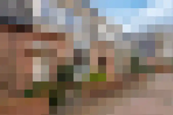 De Zoom 10 't Harde foto 3