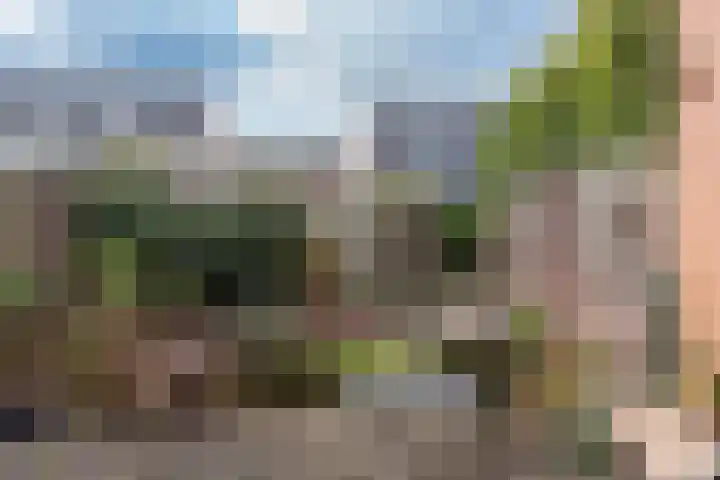 De Zoom 10 't Harde thumbnail 31