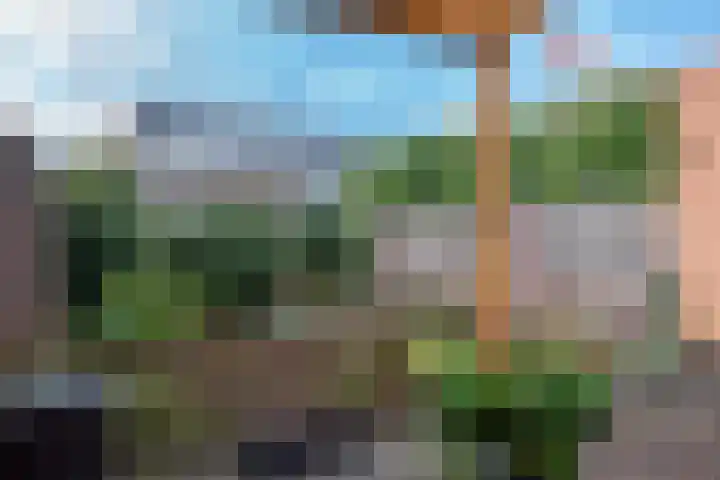De Zoom 10 't Harde thumbnail 32