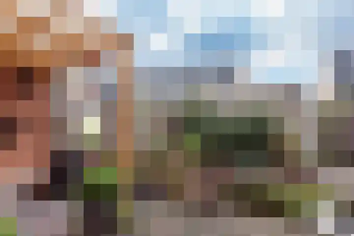 De Zoom 10 't Harde thumbnail 33