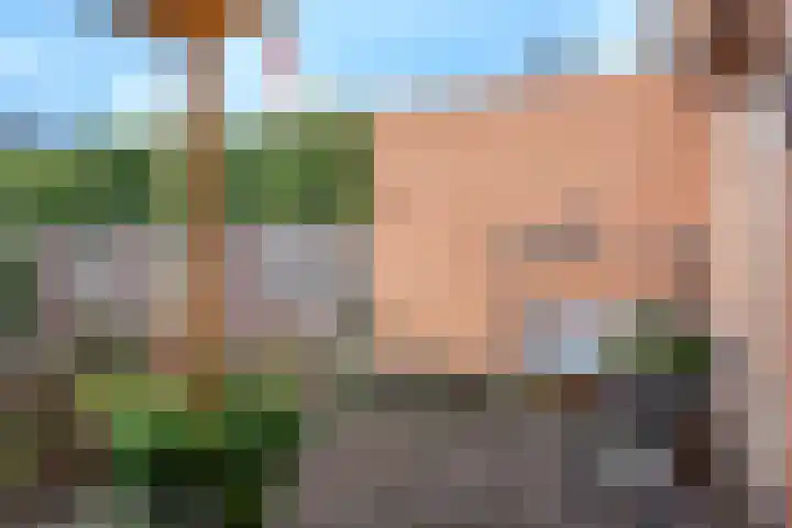 De Zoom 10 't Harde thumbnail 34