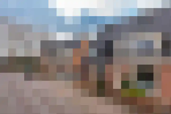 De Zoom 10 't Harde thumbnail 36