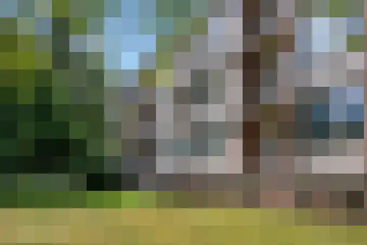 De Zoom 17 Ede
