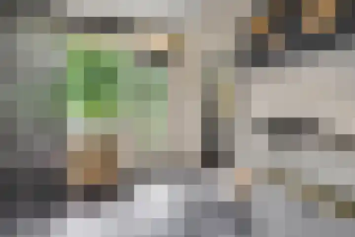 De Zoom 17 Ede thumbnail 14