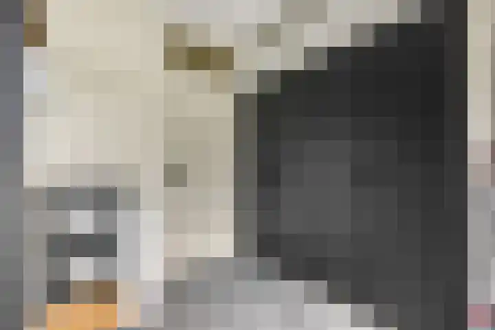 De Zoom 17 Ede thumbnail 15
