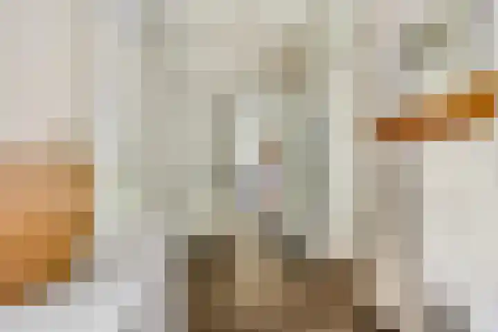 De Zoom 17 Ede thumbnail 21
