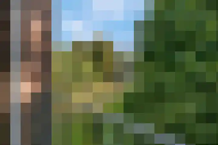 De Zoom 17 Ede thumbnail 23
