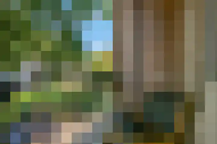 De Zoom 17 Ede thumbnail 24