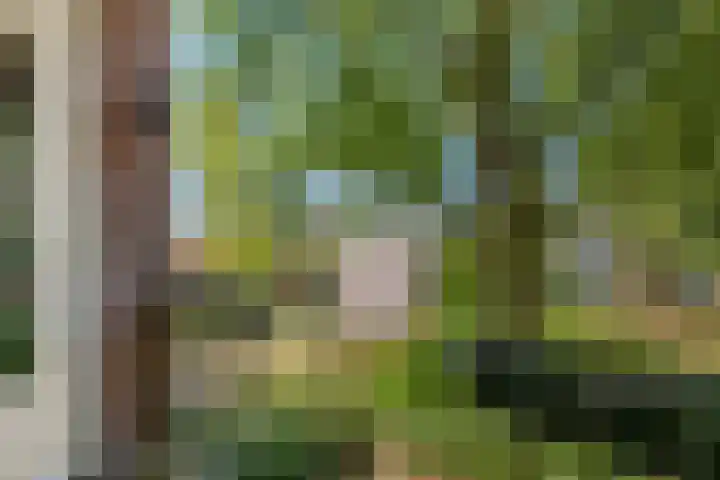 De Zoom 17 Ede thumbnail 25