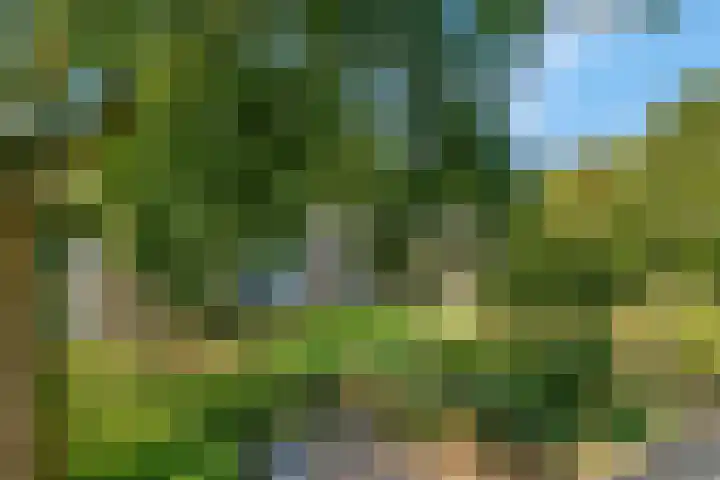 De Zoom 17 Ede thumbnail 26