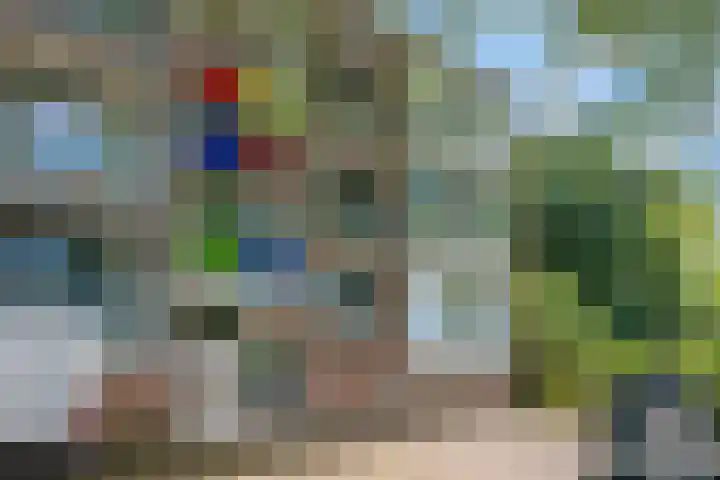 De Zoom 17 Ede thumbnail 27