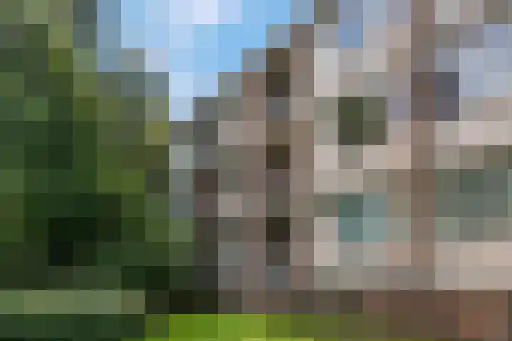 De Zoom 17 Ede thumbnail 29