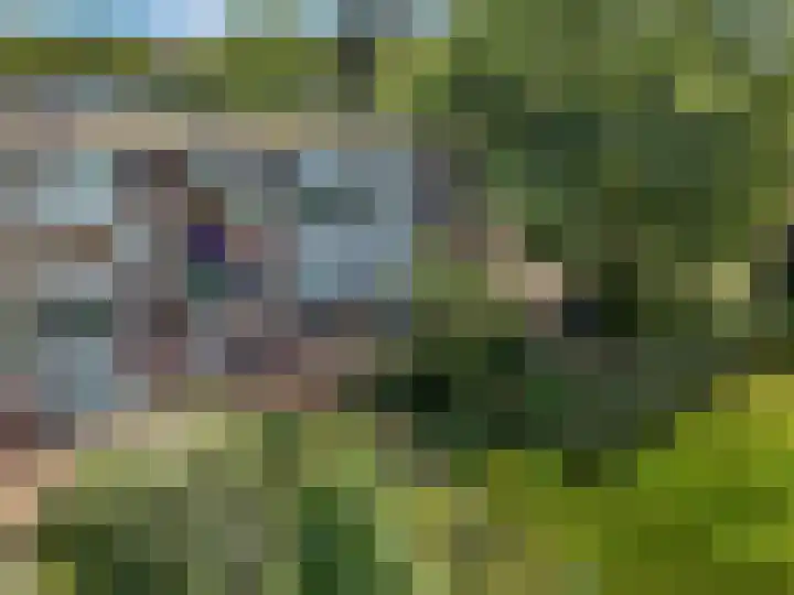 De Zoom 17 Ede thumbnail 31