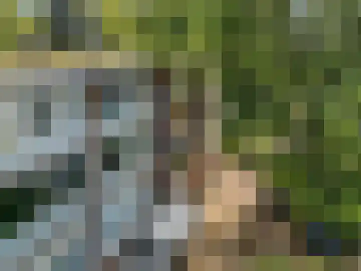De Zoom 17 Ede thumbnail 32