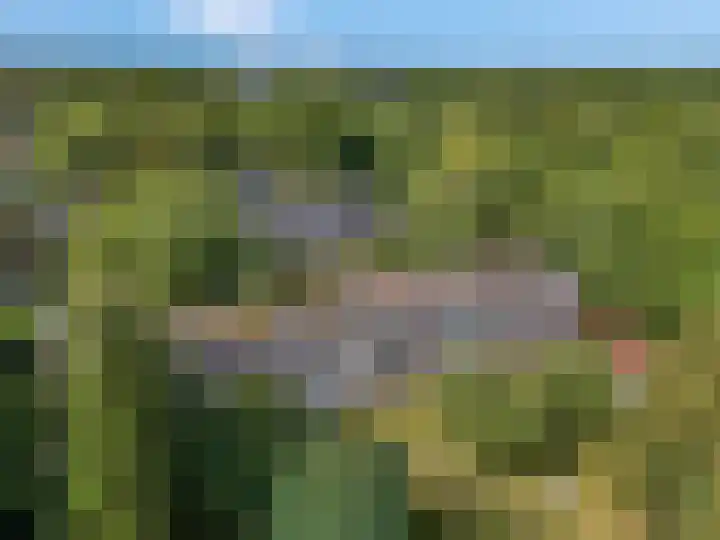 De Zoom 17 Ede thumbnail 33