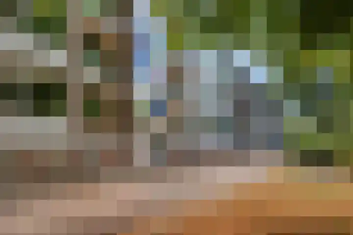 De Zoom 17 Ede thumbnail 34