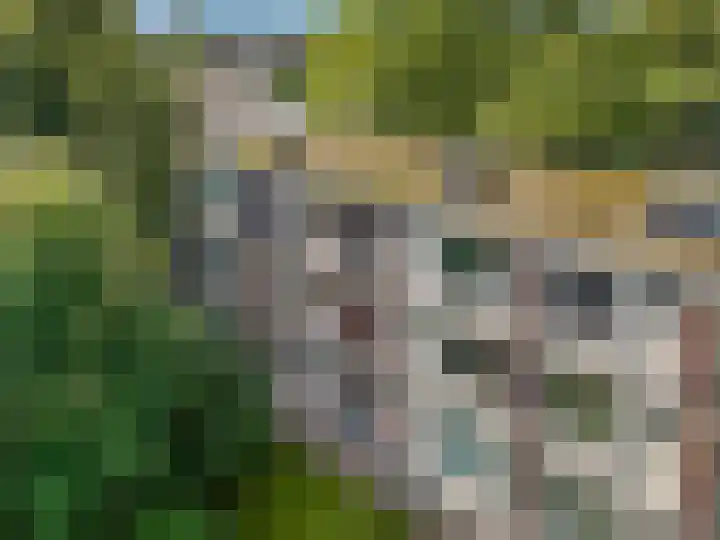 De Zoom 17 Ede thumbnail 37