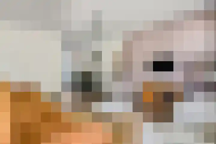 De Zoom 17 Ede thumbnail 5