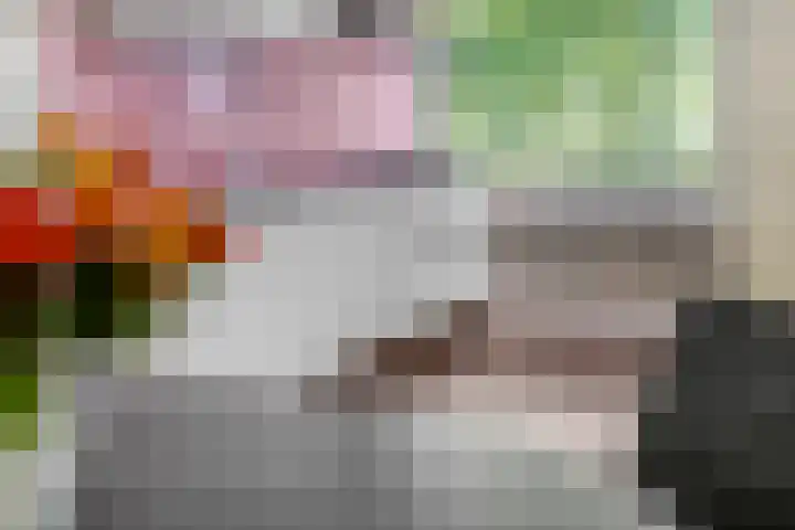 De Zoom 17 Ede thumbnail 7