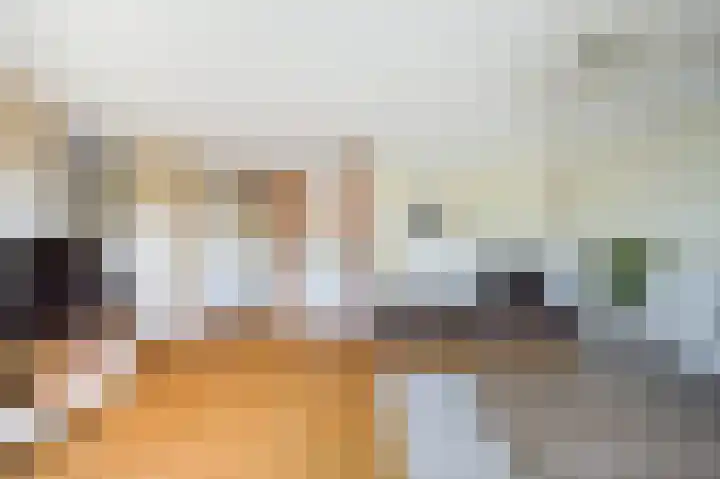 de Zoom 24 Woerden thumbnail 10