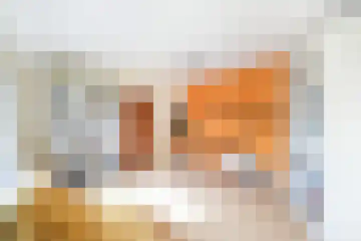 de Zoom 24 Woerden thumbnail 19