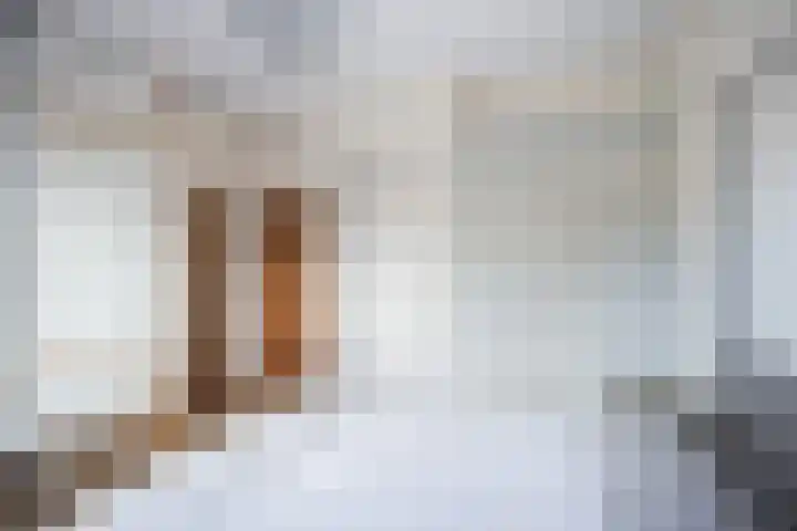 de Zoom 24 Woerden thumbnail 24