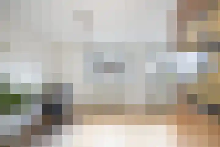 de Zoom 24 Woerden thumbnail 30