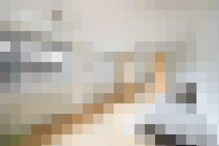 de Zoom 24 Woerden thumbnail 31