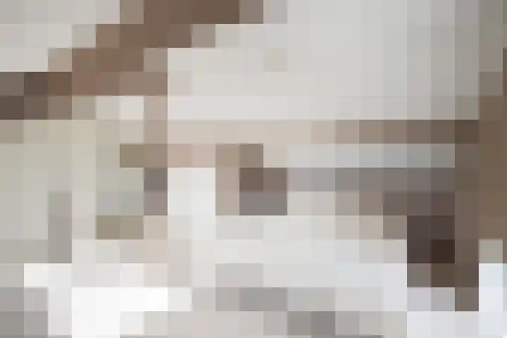 de Zoom 24 Woerden thumbnail 35