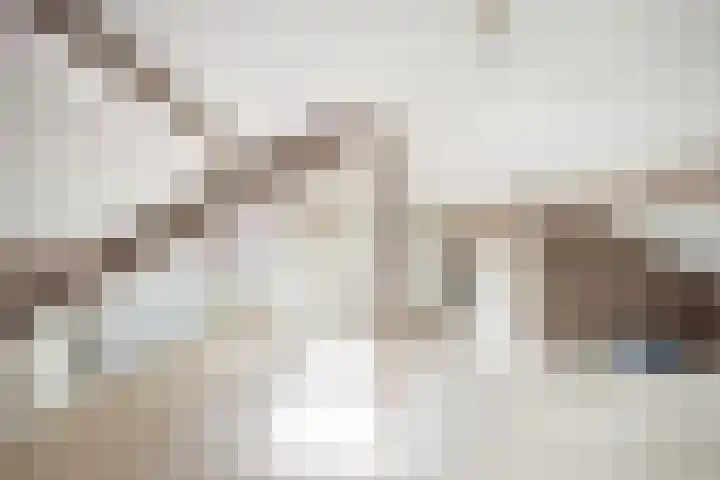 de Zoom 24 Woerden thumbnail 36