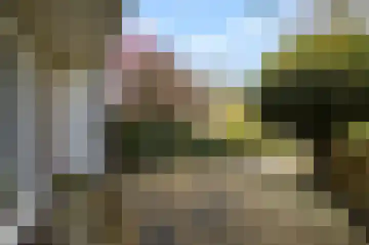de Zoom 24 Woerden thumbnail 46