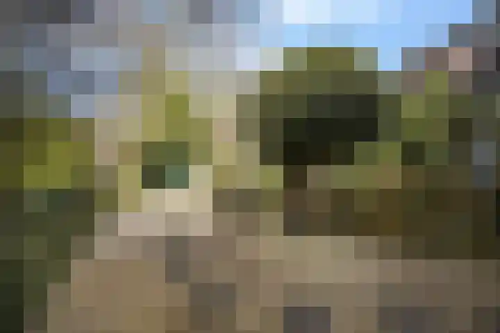 de Zoom 24 Woerden thumbnail 47