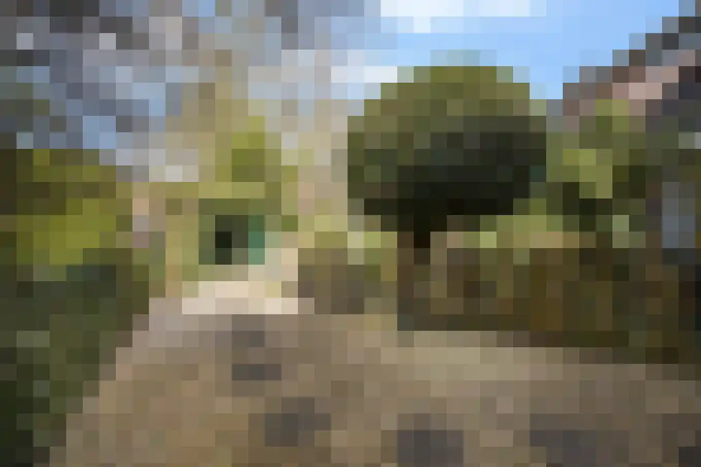 de Zoom 24 Woerden thumbnail 47