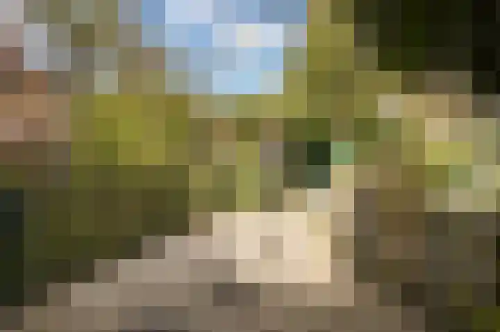 de Zoom 24 Woerden thumbnail 48