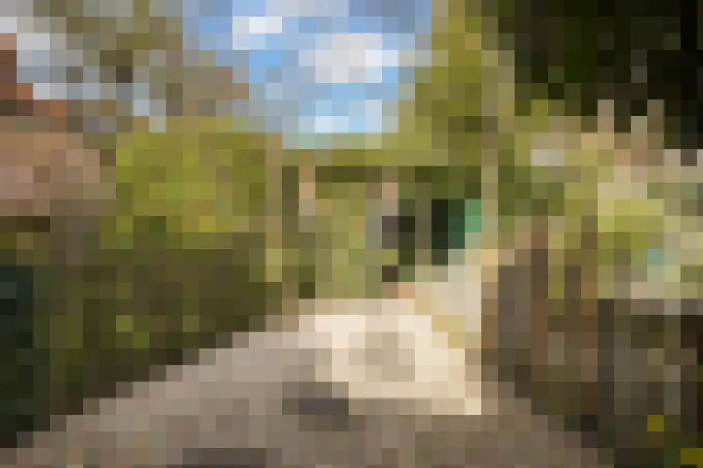 de Zoom 24 Woerden thumbnail 48