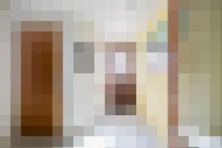 de Zoom 24 Woerden thumbnail 5