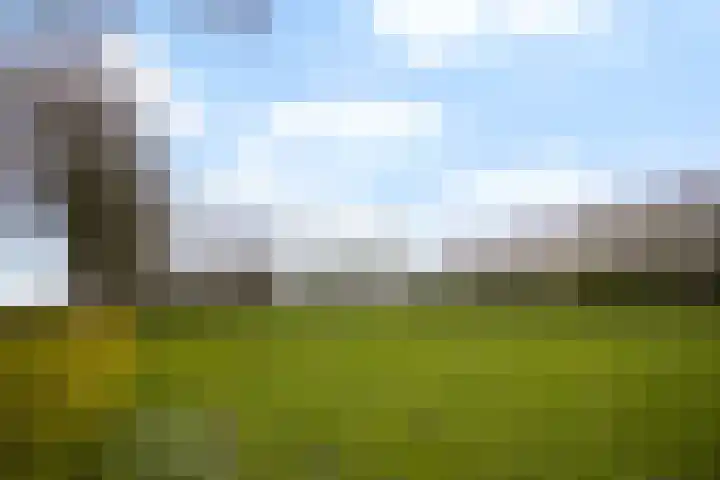 de Zoom 24 Woerden thumbnail 53