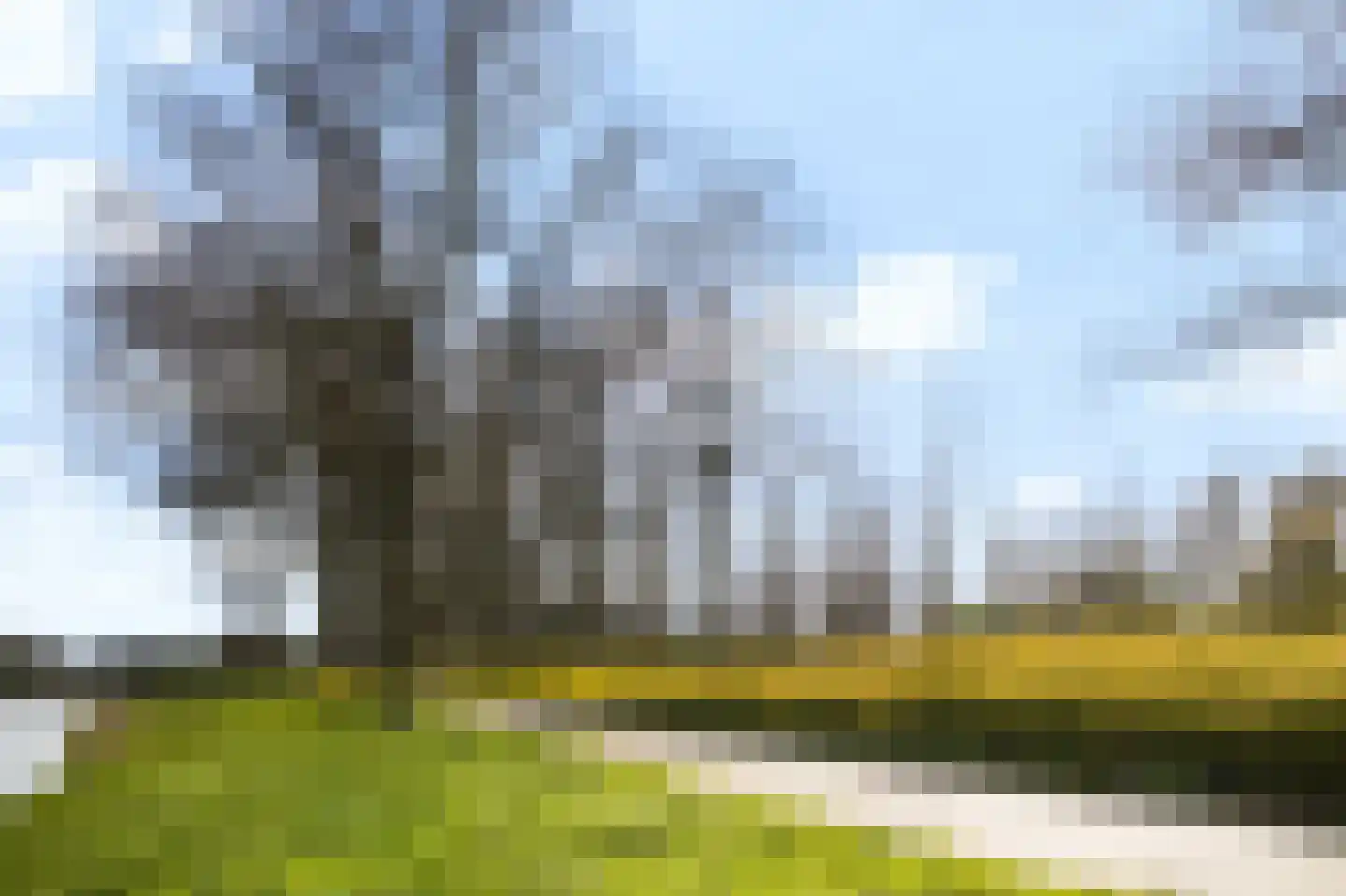 de Zoom 24 Woerden thumbnail 54