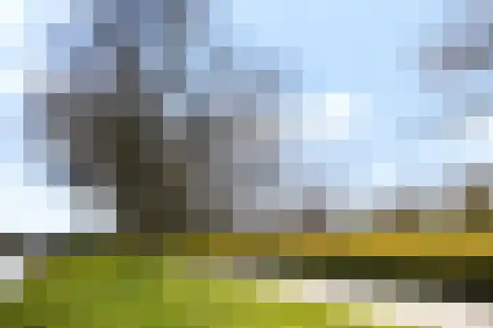 de Zoom 24 Woerden thumbnail 54