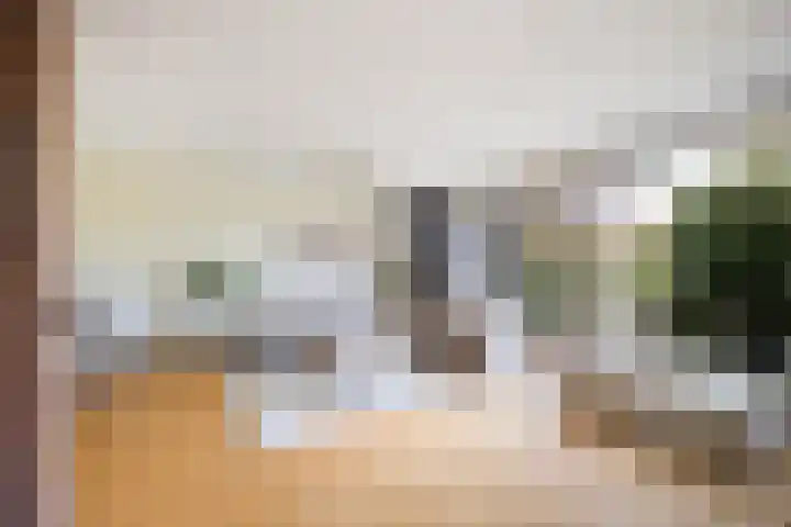 de Zoom 24 Woerden thumbnail 8