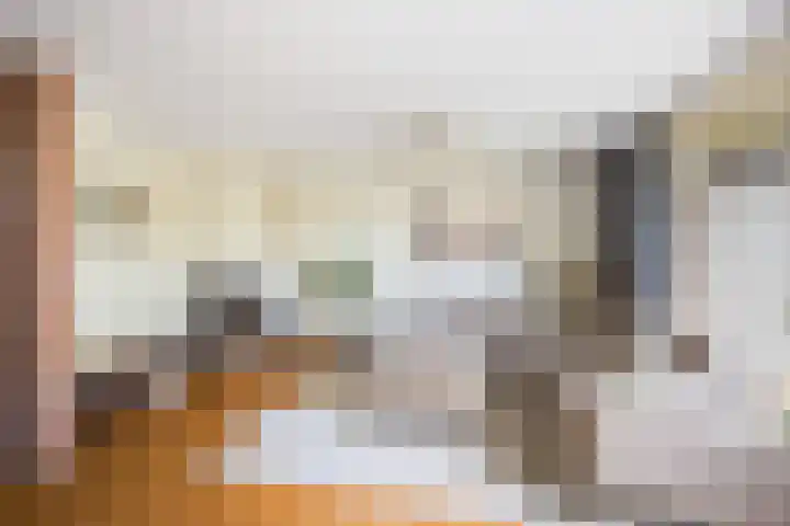 de Zoom 24 Woerden thumbnail 9