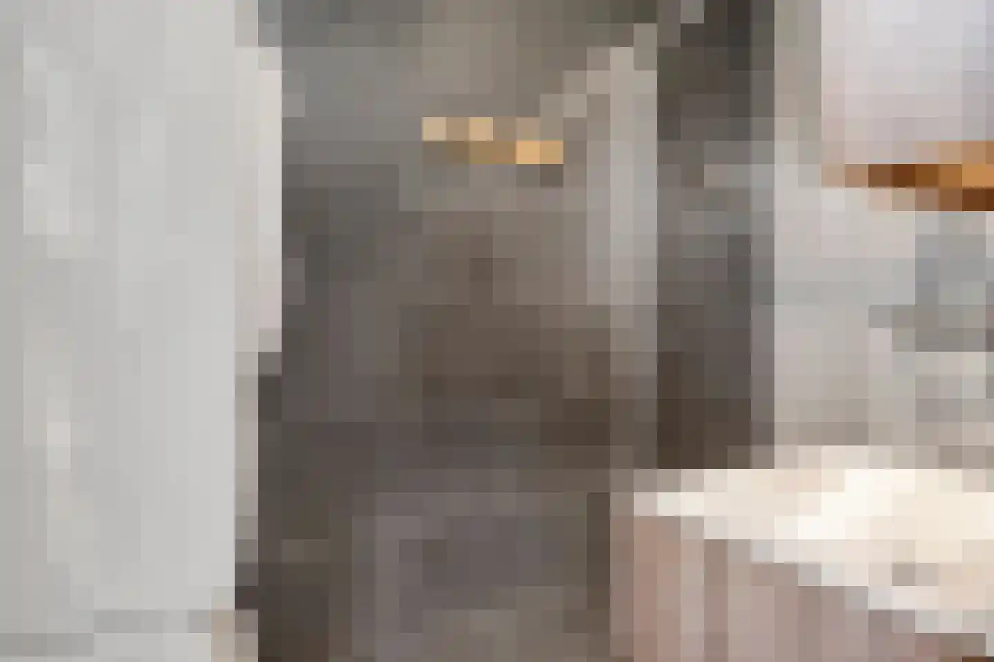 De Zoom 25 Ede thumbnail 18