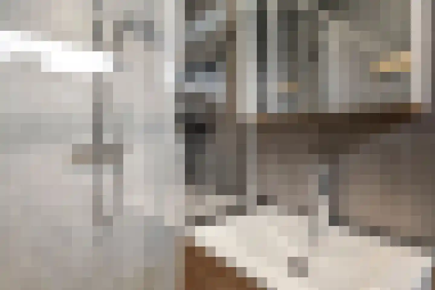 De Zoom 25 Ede thumbnail 19