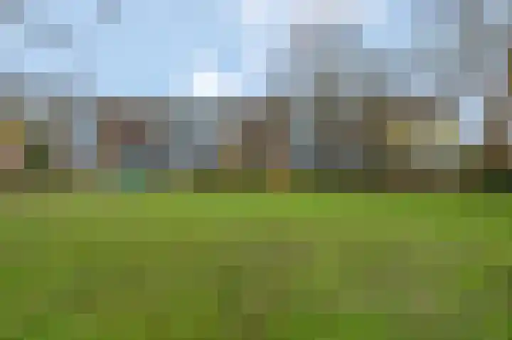 De Zoom 35 Ede