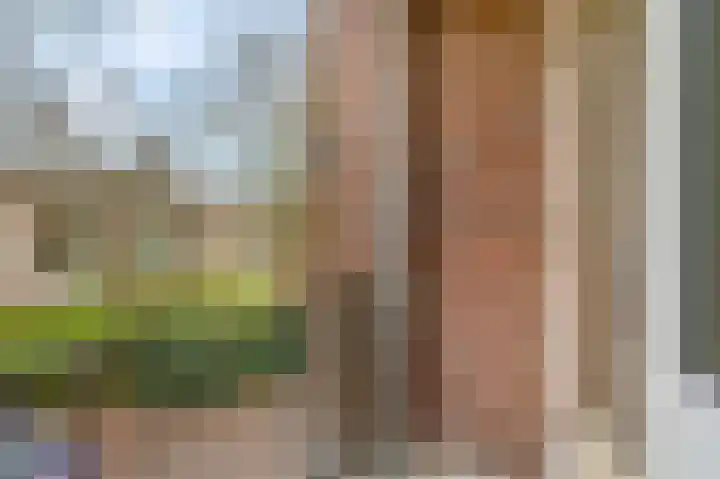De Zoom 35 Ede thumbnail 18