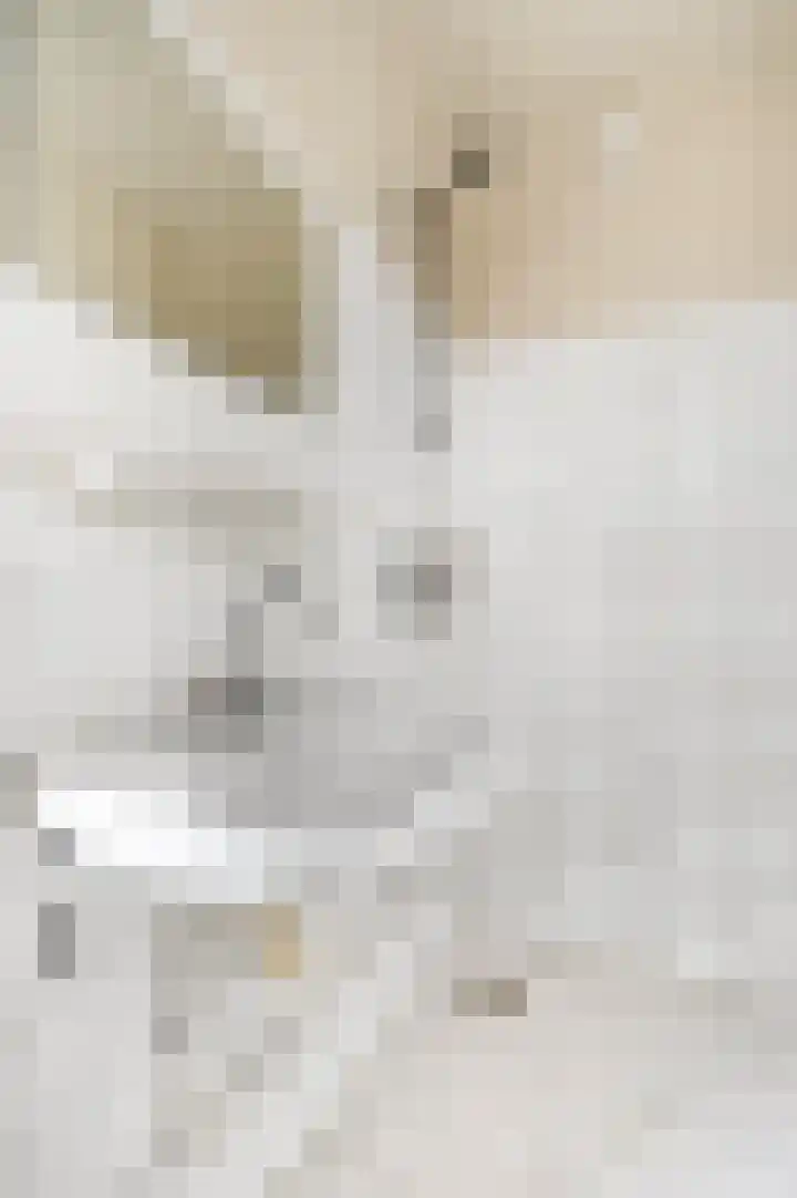 De Zoom 35 Ede thumbnail 21