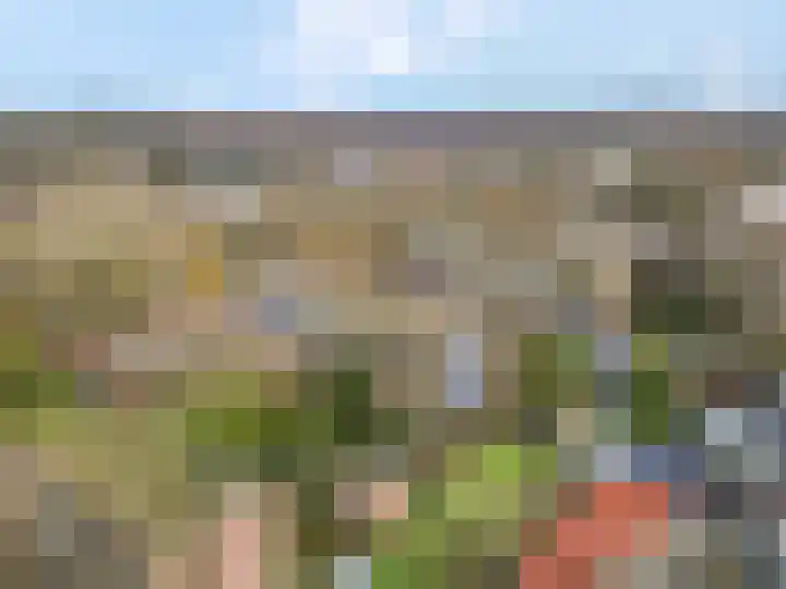 De Zoom 35 Ede thumbnail 28