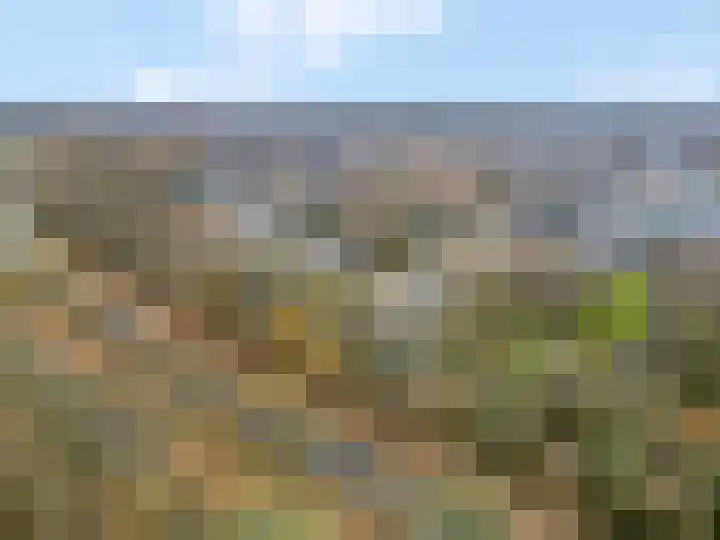 De Zoom 35 Ede thumbnail 29