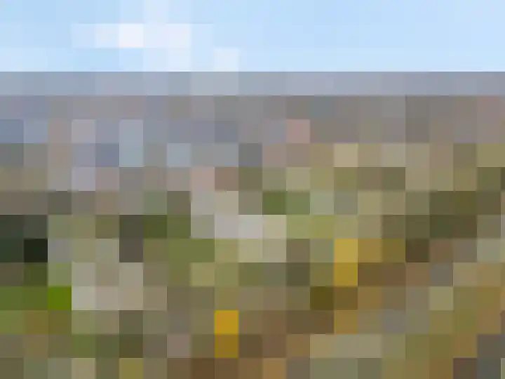 De Zoom 35 Ede thumbnail 30